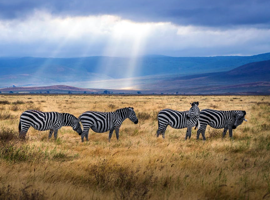 Spreekbeurt over de geschiedenis van Tanzania
