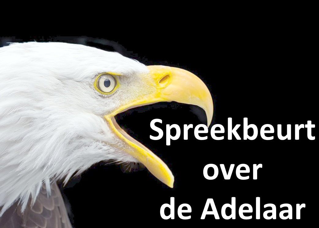 De adelaar